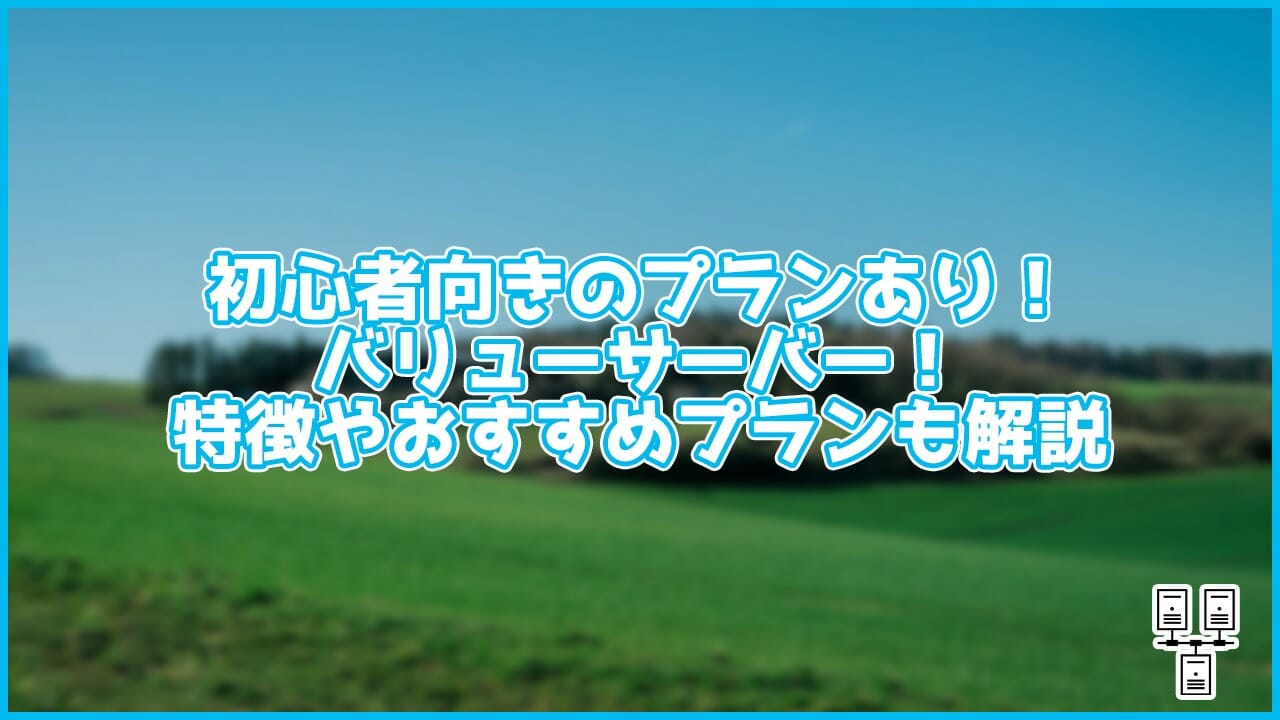 初心者向けのプランがあるバリューサーバー!特徴やおすすめプランも解説